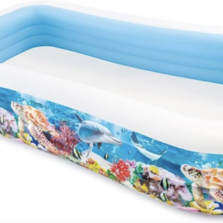 حوض كبير - أسماك